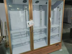 Phyldave Commercial Display Chiller for Supermarket in Nigeria. Heavy-Duty Commercial Freezer for Restaurant in Nigeria. Commercial & Refrigeration Unit for Restaurant and Hotel Use in Lagos, Nigeria.